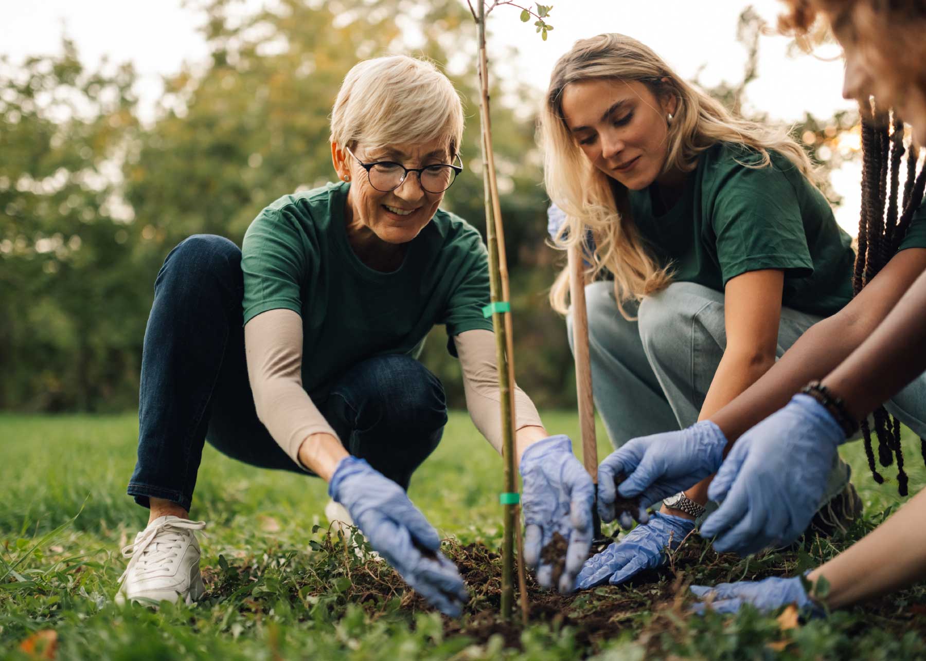 Home - Wisconsin Community Health Plans